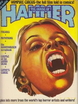 Cover of Issue #17