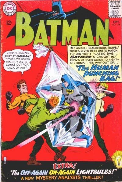 Cover of The Human Punching Bag