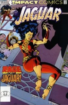 Cover of Issue #13
