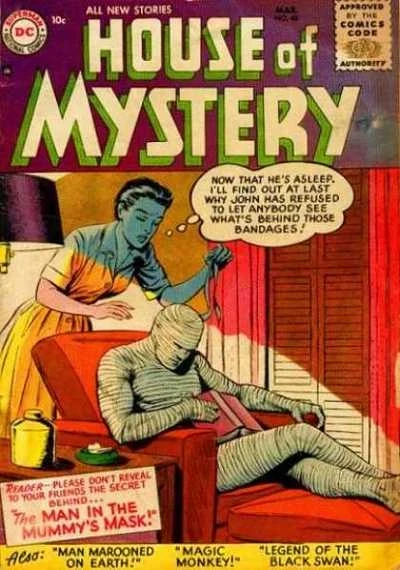 Cover of The Man in the Mummy Mask