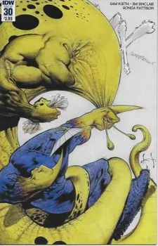 Cover of Issue #30