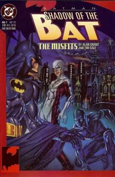Cover of The Misfits