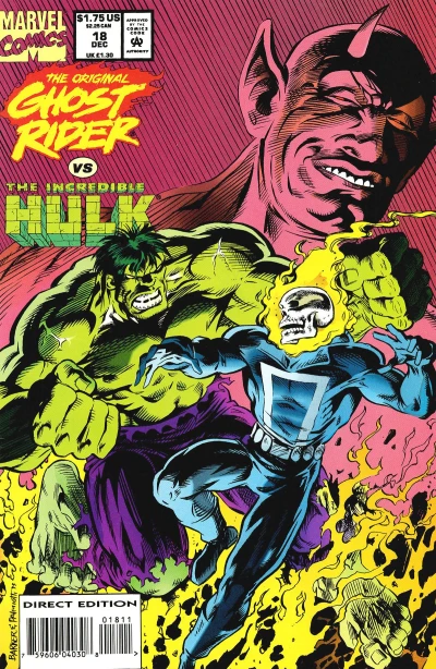 Cover of The Desolation Run!