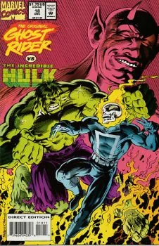 Cover of The Desolation Run!