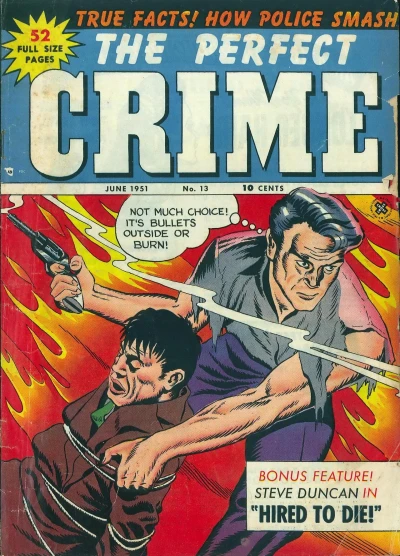 Cover of Issue #13