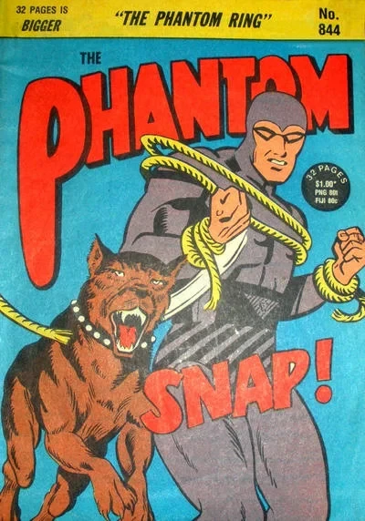 Cover of The Phantom Ring