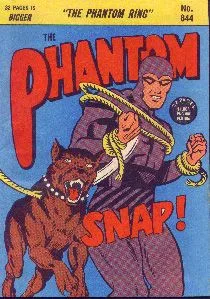 Cover of The Phantom Ring