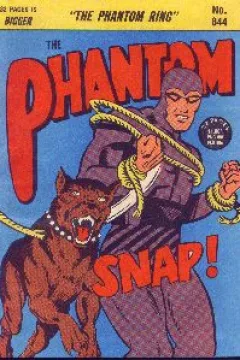 The Phantom Ring