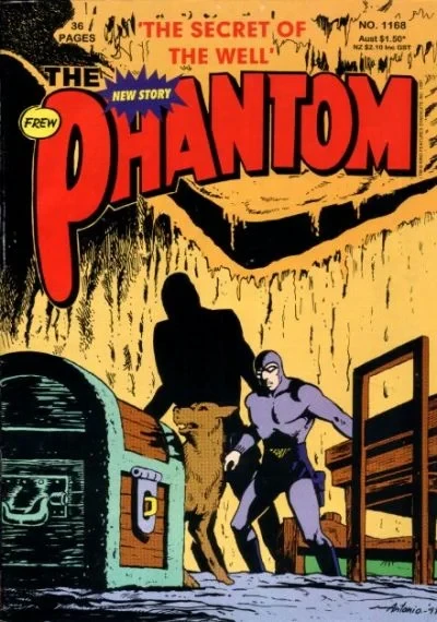 Cover of The Secret of the Well