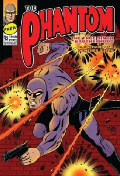 Cover of The True Singh Brotherhood