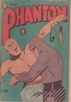 Cover of Issue #309