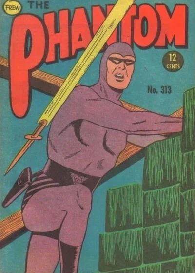 Cover of Issue #313