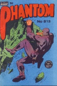 Issue #813