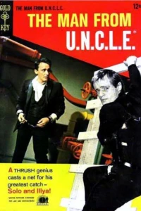 The Pixilated Puzzle Affair