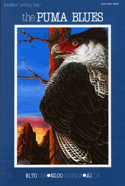 Cover of Issue #22