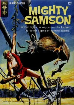 Cover of The Riddle of the Raids