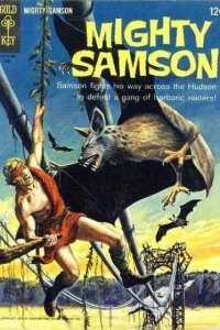 The Riddle of the Raids