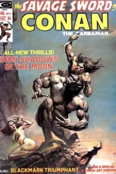 Iron Shadows in the Moon