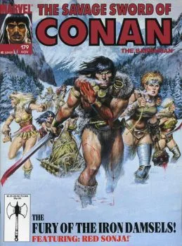 Cover of The Fury of the Iron Damsels