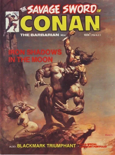 Cover of Iron Shadows in the Moon