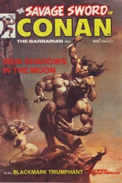 Iron Shadows in the Moon