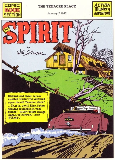 Cover of The Tenacre Place