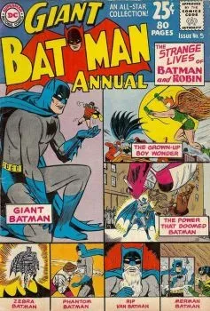 Cover of The Strange Lives of Batman and Robin
