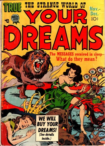 Cover of The Woman In The Tower