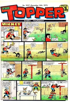 Issue #1037