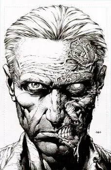 Cover of 2nd Printing David Finch Incentive Sketch Variant (1:25)