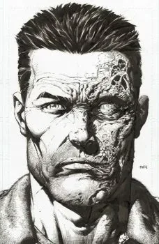 Cover of 2nd Printing Incentive David Finch & Dave McCaig Raw Variant Cover