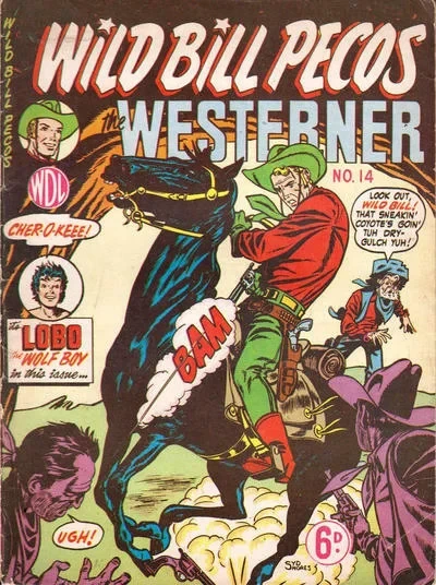 Cover of Issue #14