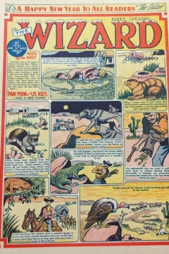 Issue #1351