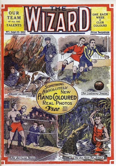 Cover of The Wizard