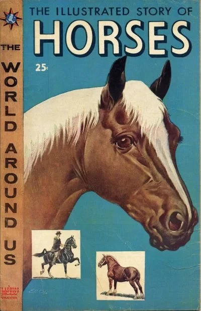 Cover of The Illustrated Story of Horses