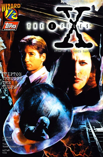 Cover of Tiptoe Through the Tulpa