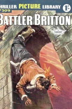 Issue #309