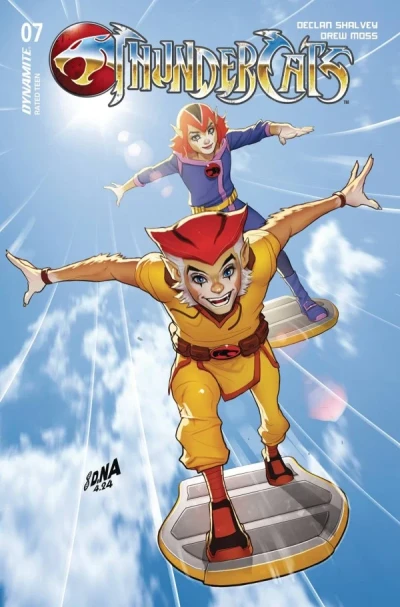 Cover of Wounds