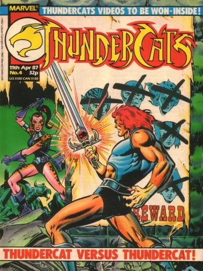 Cover of Thundercat vs Thundercat