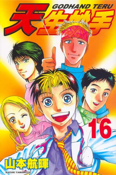 Cover of Vol. 16
