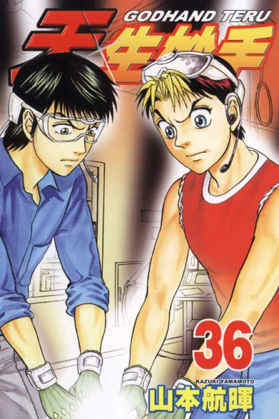 Cover of Vol. 36