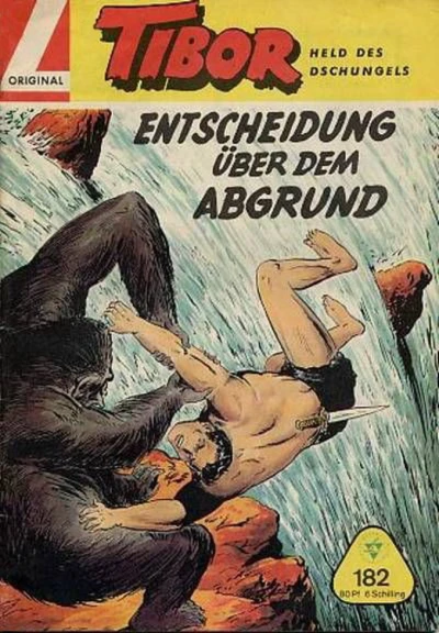 Cover of Entscheidung ueber dem Abgrund