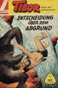 Entscheidung ueber dem Abgrund