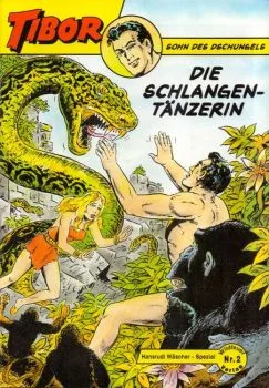 Cover of Der verschwundene Fluss