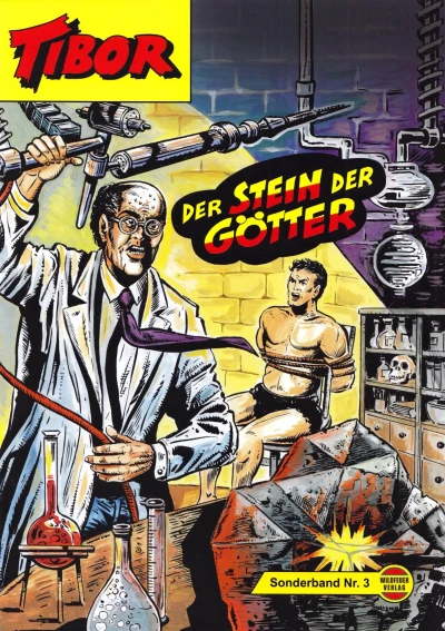 Cover of Der Stein der Götter