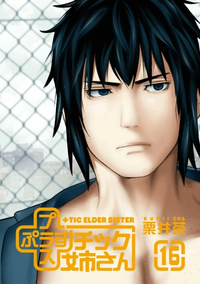Cover of Volume 16