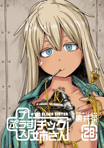 Cover of Volume 28