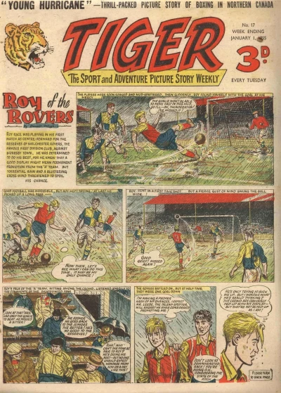 Cover of Issue #17