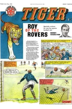 Issue #19600521