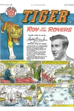 Issue #19600604